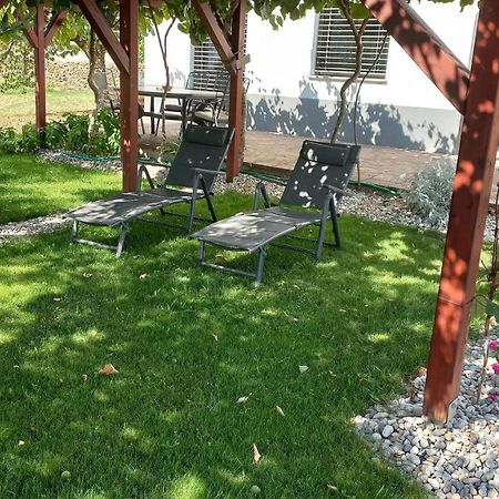 Apartma Nona Roza Zgornje Skofije Kültér fotó