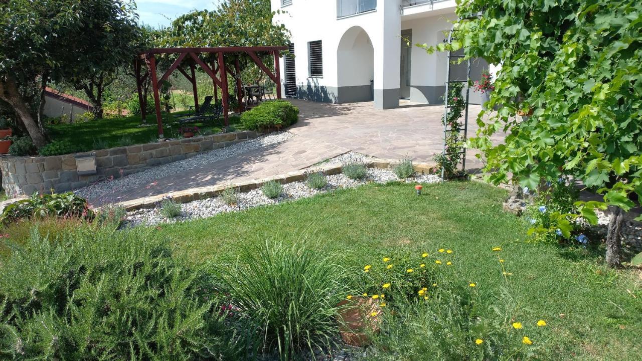 Apartma Nona Roza Zgornje Skofije Kültér fotó